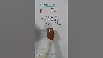 Matriz Traspuesta #algebra