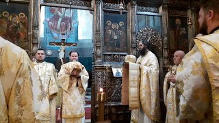 Duminica vindecării celor 10 leproși  14.01.2024  Preasfințitul Teofil  Catedrala Cluj-Napoca