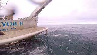 Sidescan Sonar Towfish Launch And Recovery