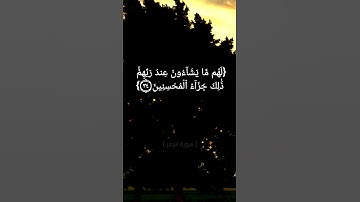 سورة الزمر الآية ٣٣ الى ٣٧ بصوت الشيخ ماهر المعيقلي