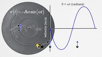 Simple Harmonic Motion(SHM) - Graphs of Position, Velocity, and Acceleration