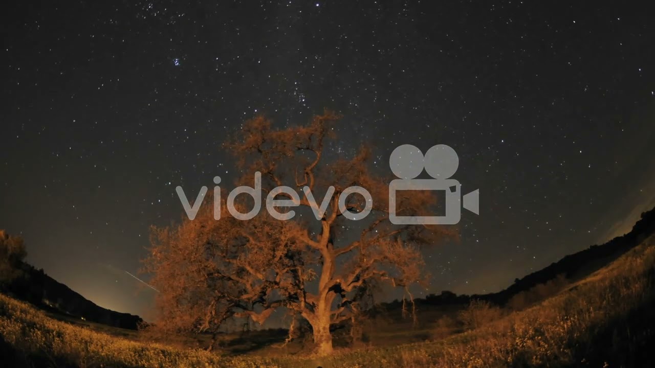 Night time lapse of star trails clouds and Valley Oak Tree during a new moon in Oak View California