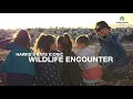Gannet Safaris Overland Tours Gannet Safaris Overland Tours