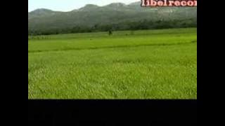 DundamTingkilan  - GURING ADING GURING  - Lagu Pop Banjar Kalimantan Timur