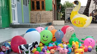 popping Balloons!! Balon angsa terbang, Balon Emoji, Suara Sapi, ayam, T-rex, gajah, bebek, tayo dll