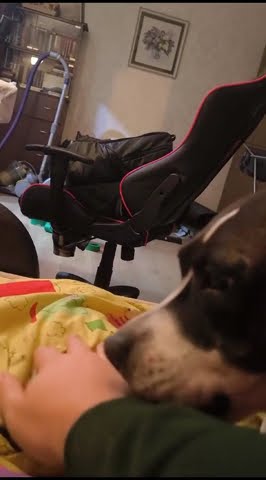 youtube.com