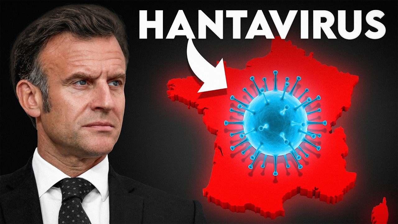 Une Française contaminée, faut-il s’inquiéter de l’hantavirus ?