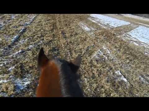 Ranker Video