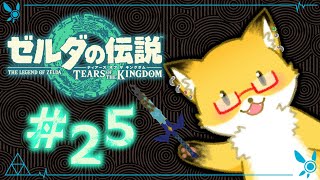#25【ゼルダの伝説　ティアーズ オブ ザ キングダム】深穴、暗い、灯り、必要【ちゅうけんぽちこう】
