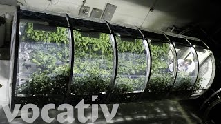 This Inflatable Greenhouse was Built for Mars