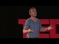 Why we all need to learn to love insects | Dave Goulson | TEDxBratislava