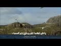 رد القردعي على زامل الامام