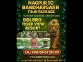 Nagpur to Bandhavgarh Tour Package | Distance, Jungle Safari &amp; Best Budget GTV Resort #bandhavgarh