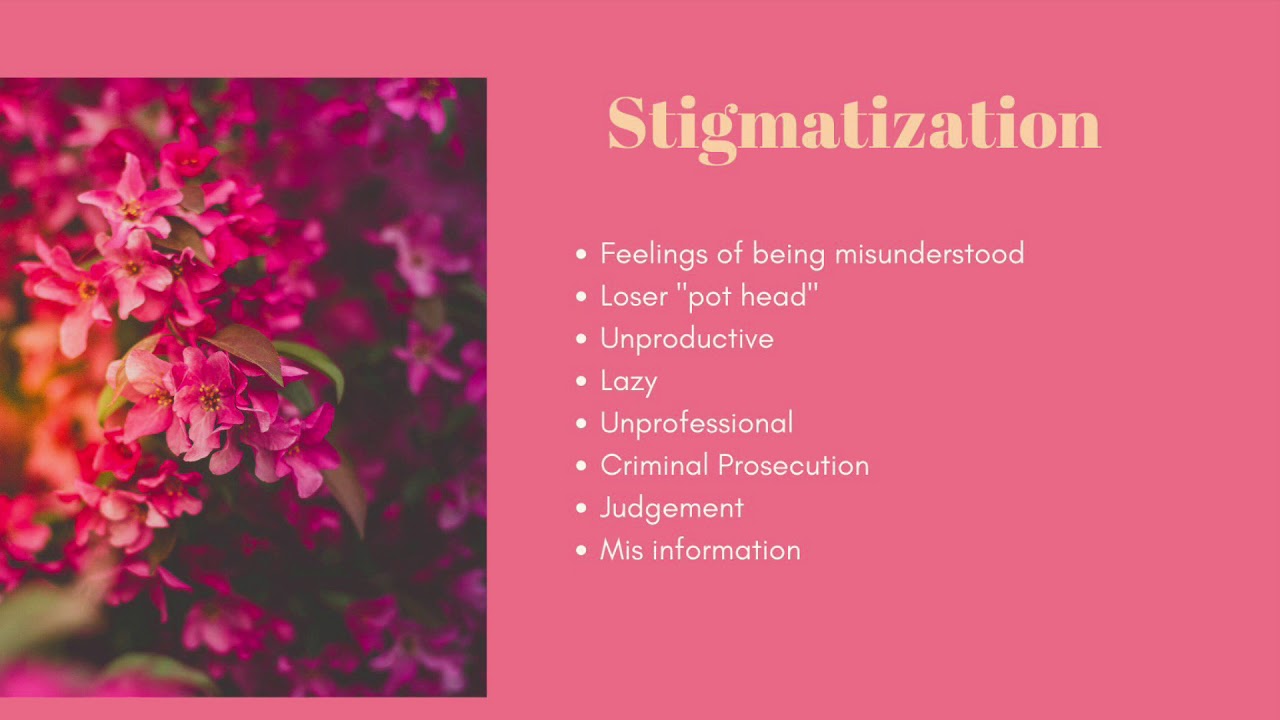 The Professional Stoner