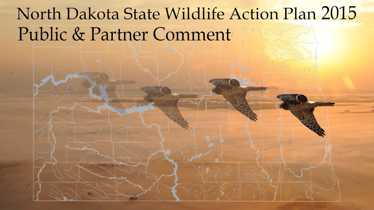 hunting simulator pc State Wildlife Action Plan - NDGNF