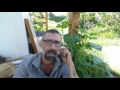 Permacultura & Transizione - Intervista a Nicola Savio di OrtodiCarta