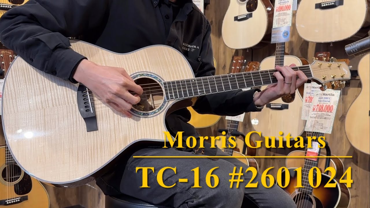 楽器 MorrisDM-256TS Acoustic Guitar Morris MD-501 Natural Made in Japan with Soft Case