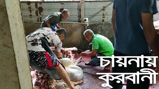 বাংলাদেশীদের চায়নায় কুরবানী Day of Bangladeshi Chinese Muslim Qurban Festival 2021古爾邦節 Bakra Eid2021