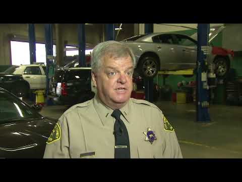 ABC7 - LASD Decals