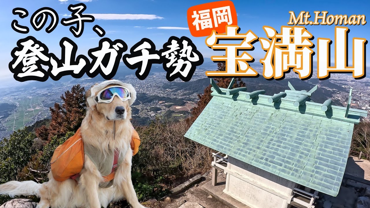 【登山】福岡の宝満山に１２人と１匹が挑む！！