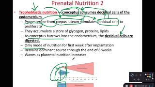 BIOL 314 Prenatal Nutrition (Ch 29 Part 4)
