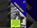 Recursos Digitales para una Cultura Laboral Saludable