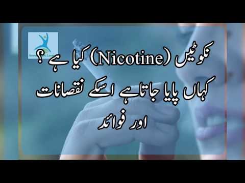 نکوٹین کیا ہے ؟ Nicotine