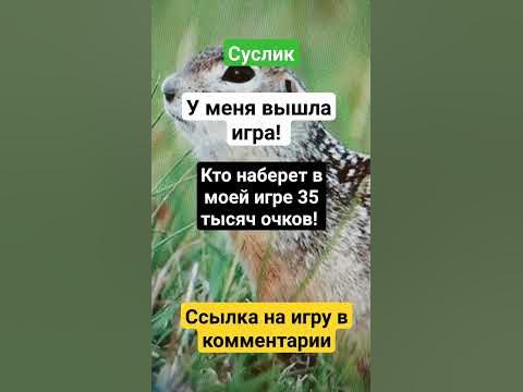 Суслик #игра - YouTube