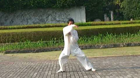 Xin Yi Liu He Ba Fa (Water Boxing) Part 1