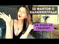 Переезд в Калининград: 10 неожиданных фактов, погода, еда, спорт, переходы и янтарные реки