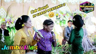 Jambu Alas - Bojomu tak silih e  || Cak konyil di garap penyanyi 2 😁 || Narayana Musik