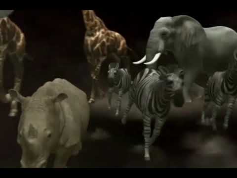 zoo escape animation fx - YouTube