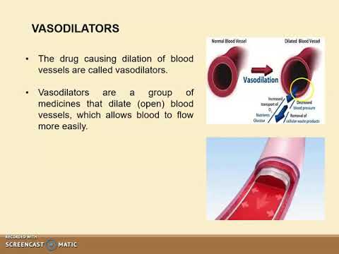 CARDIOVASCULAR DRUGS: Vasodilators