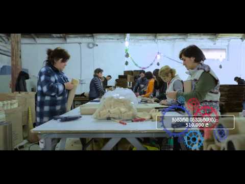 პროგრამის \"აწარმოე საქართველოში\" ბენეფიციარ კომპანიებში დასაქმებული პირების ისტორიები