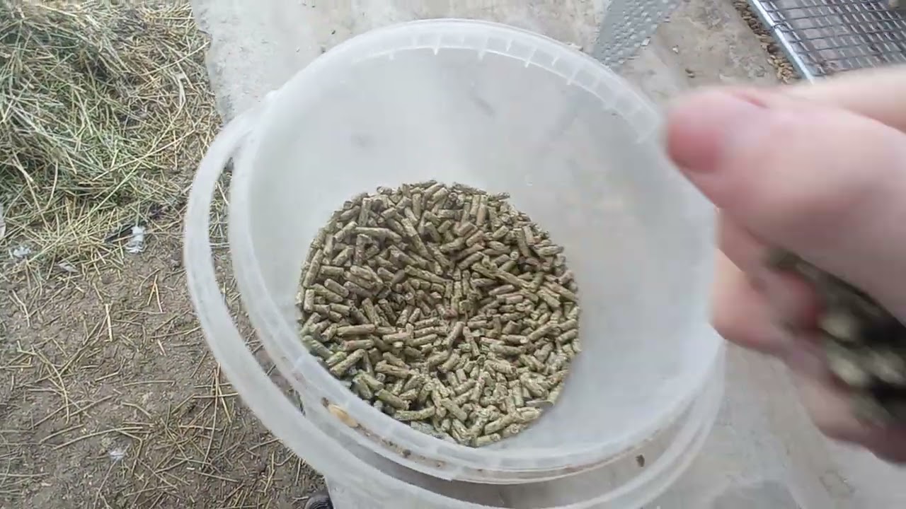 Кролики🐰