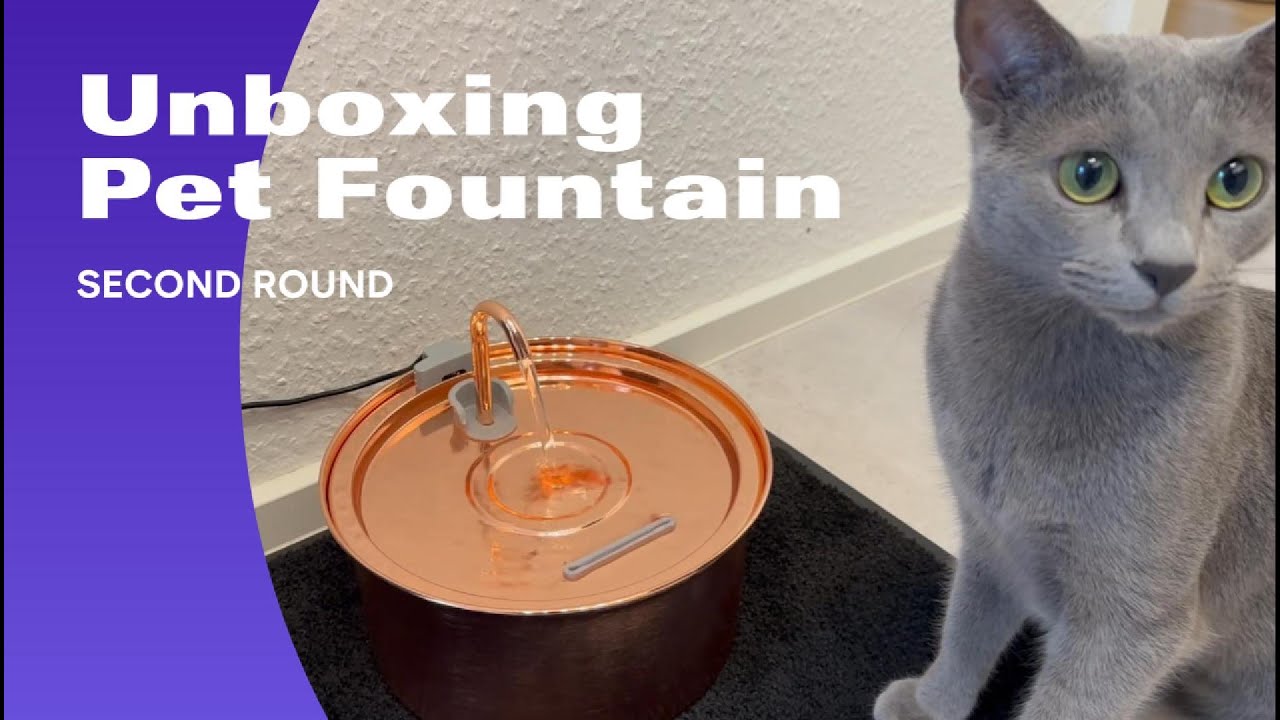 unboxing pet fountain, Tomxcute second round