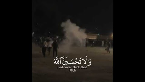 سورة ابراهيم كما لم تسمعها من قبل🍃♥️، القارئ: عبد الرحمن مسعد