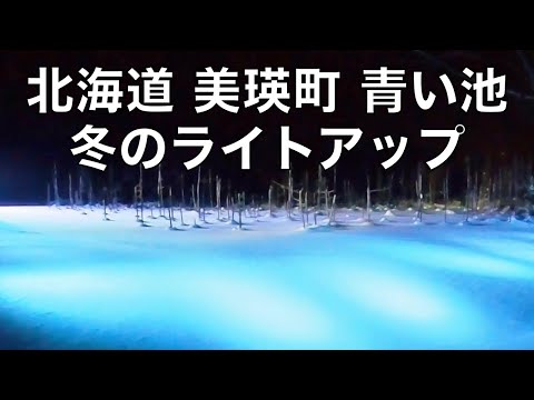 北海道美瑛町 白金青い池 冬のライトアップ