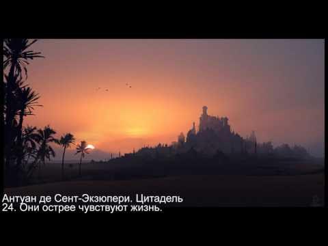 Антуан де Сент-Экзюпери. Цитадель - 24. Они острее чувствуют жизнь ...
