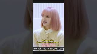 Sub Indo Blackpink Welcoming Collection 2022 All About Jisoo