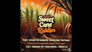 CHICHA MUSIC 2024tunez 