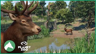 Red Deer Habitat | Elm Hill City Zoo | Planet Zoo