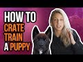 HOW TO CRATE TRAIN A PUPPY