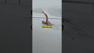 The Secret Of Snow shorts interesting interestingfacts