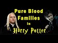 Pure Blood Families in Harry Potter series| Jadugari Dunia ke Shuddh Khoon Pariwar