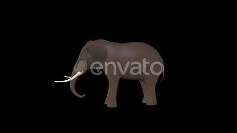 Elephant Toy Eat | Motion Graphics - Envato elements