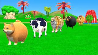 Long Slide Game with Dinosaur Lion Cow Hippopotamus Gorilla 3d Animal Game Funny 3d Animals screenshot 1