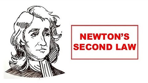 Newton