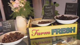 Wicker Park store offers tasty gourmet treats for dogs