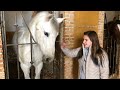 Aroa Monta a caballo 🏇 en directo // Los familukis